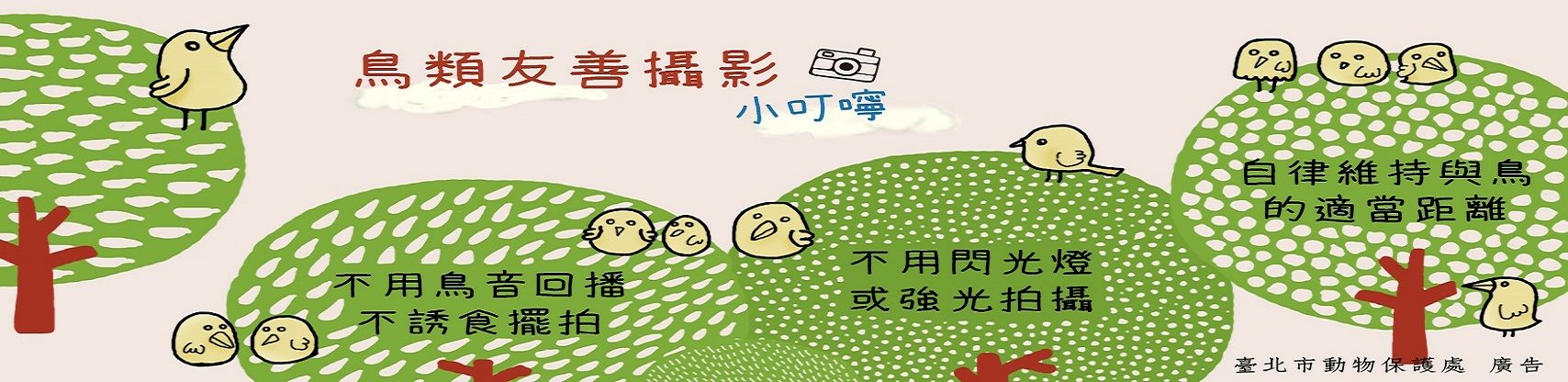 【鳥類友善攝影小叮嚀】